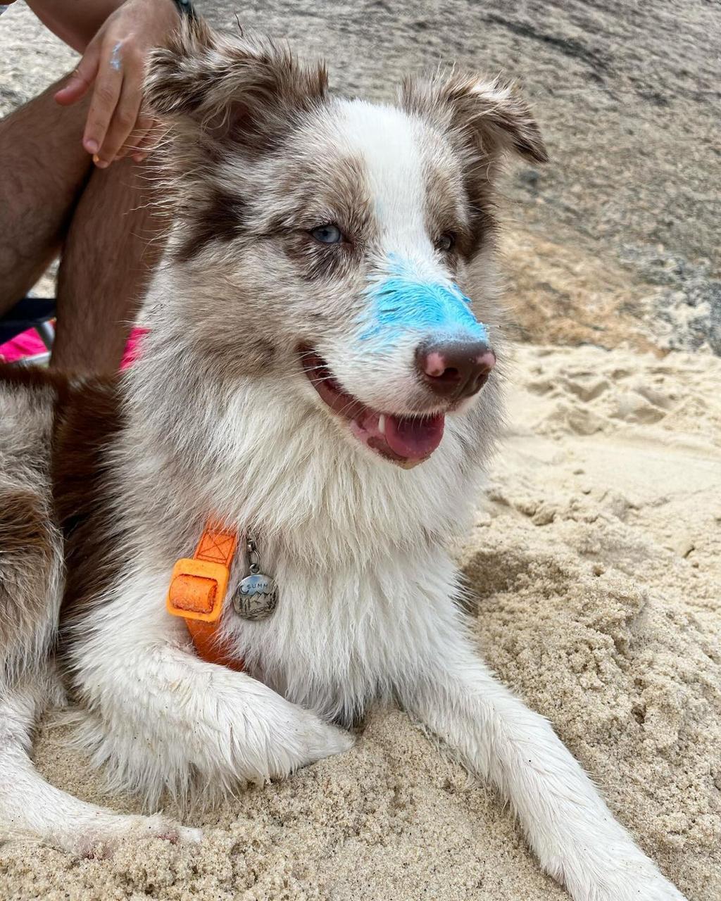 Bloqueador Solar Make Me Bluish 30 g