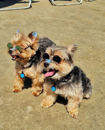 Bloqueador Solar Make Me Bluish 30 g