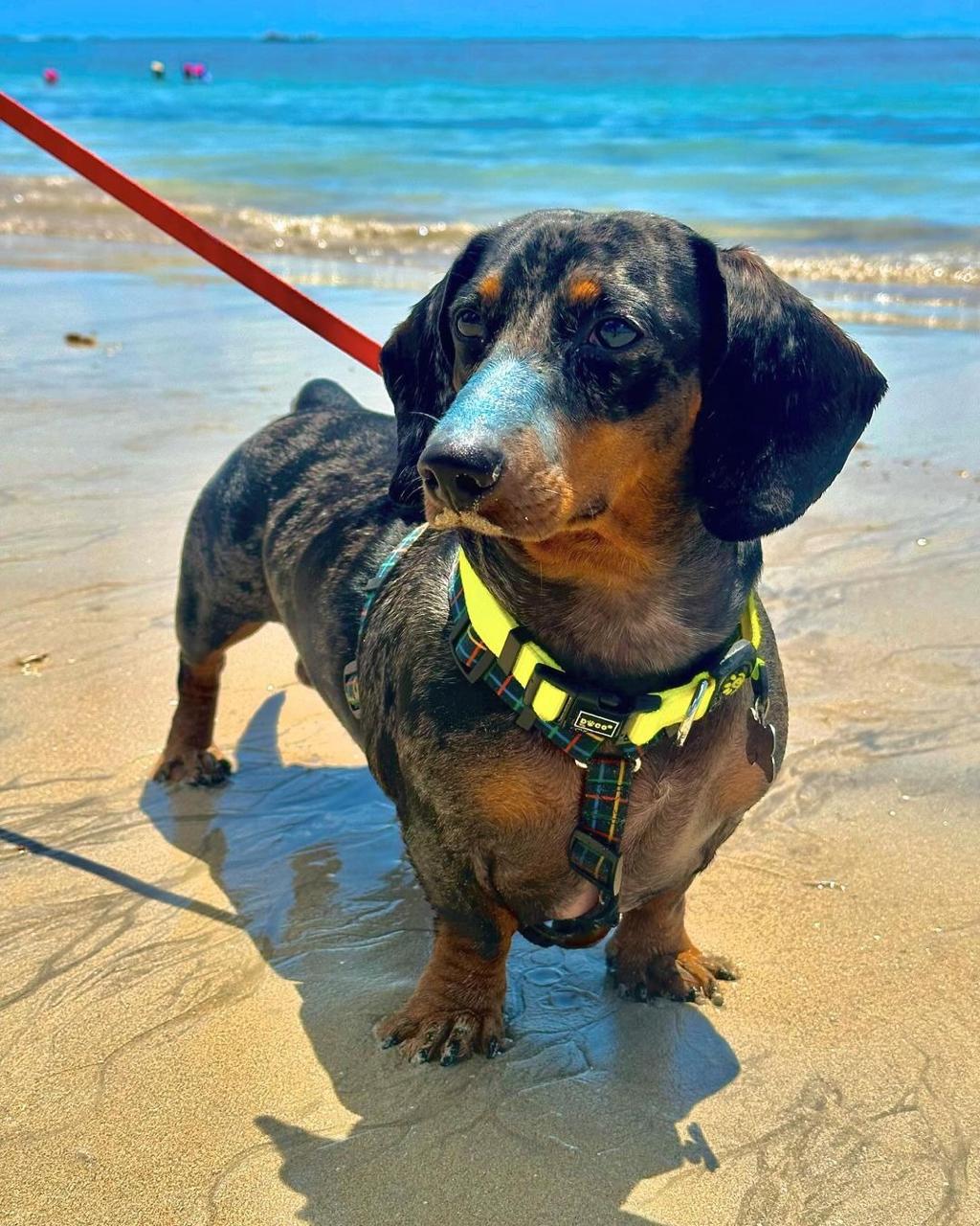 Bloqueador Solar Make Me Bluish 30 g