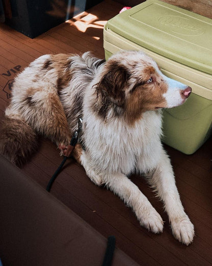 Bloqueador Solar Make Me Bluish 30 g