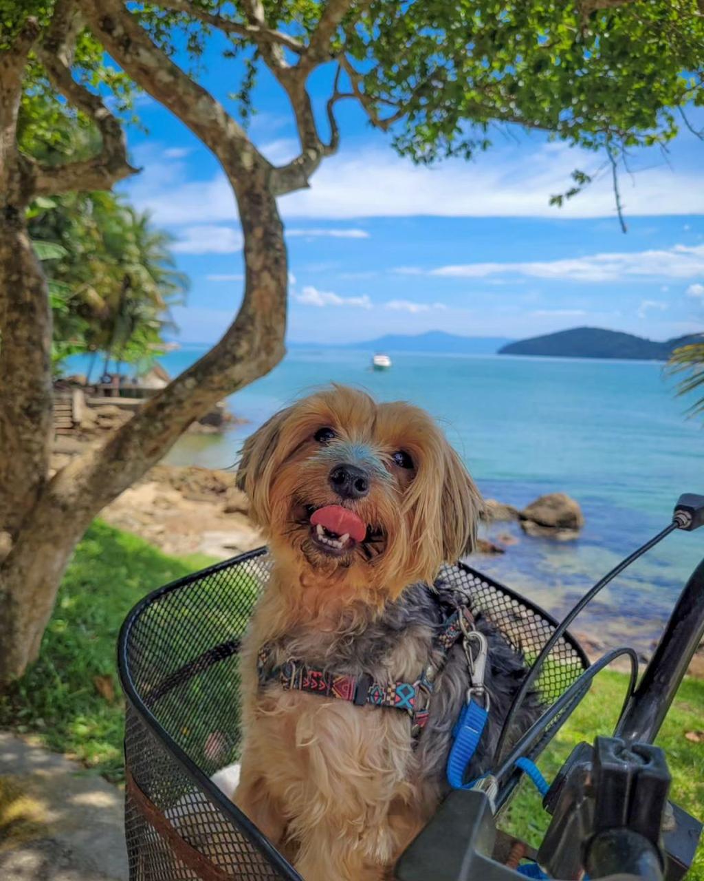 Bloqueador Solar Make Me Bluish 30 g