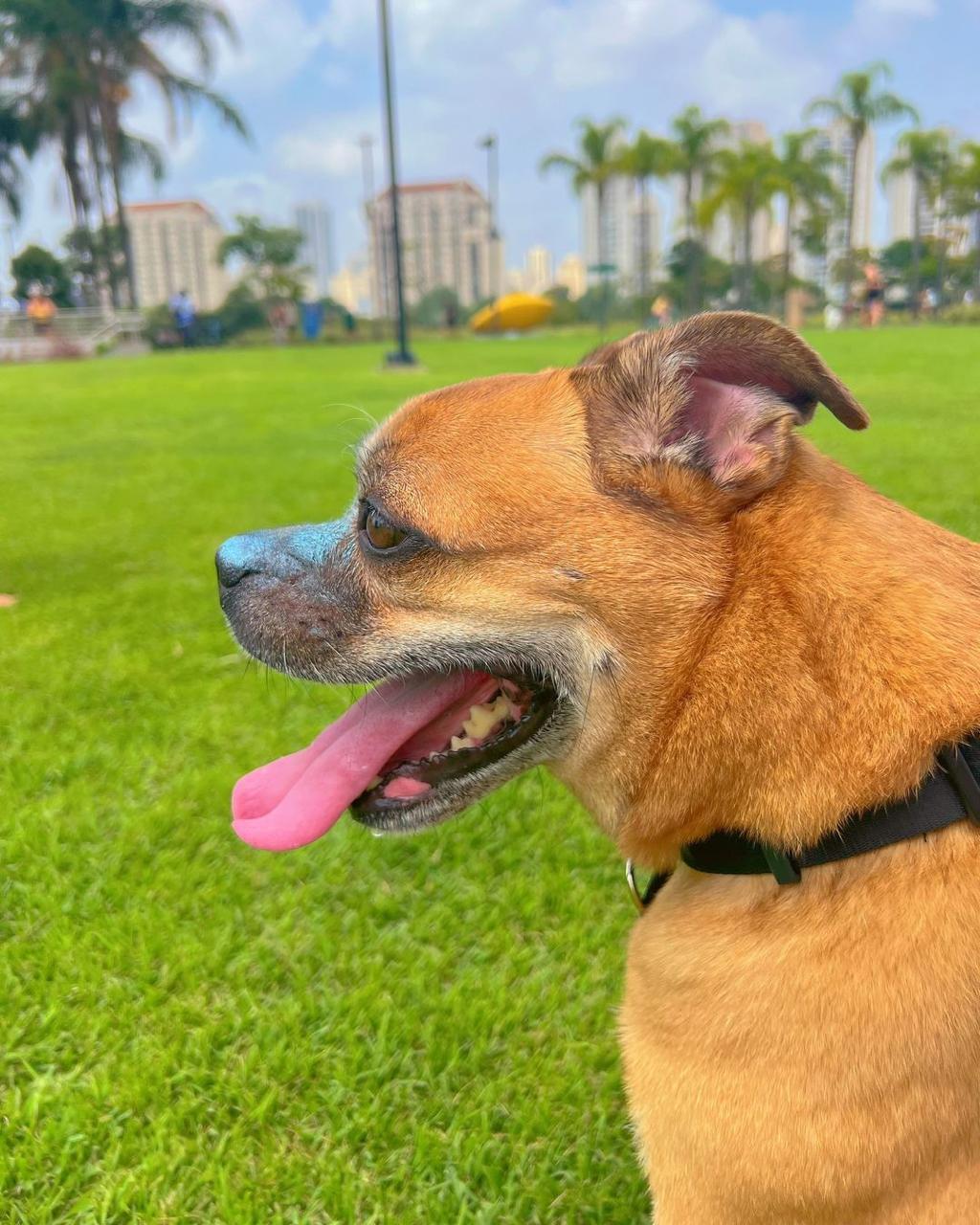 Bloqueador Solar Make Me Bluish 30 g