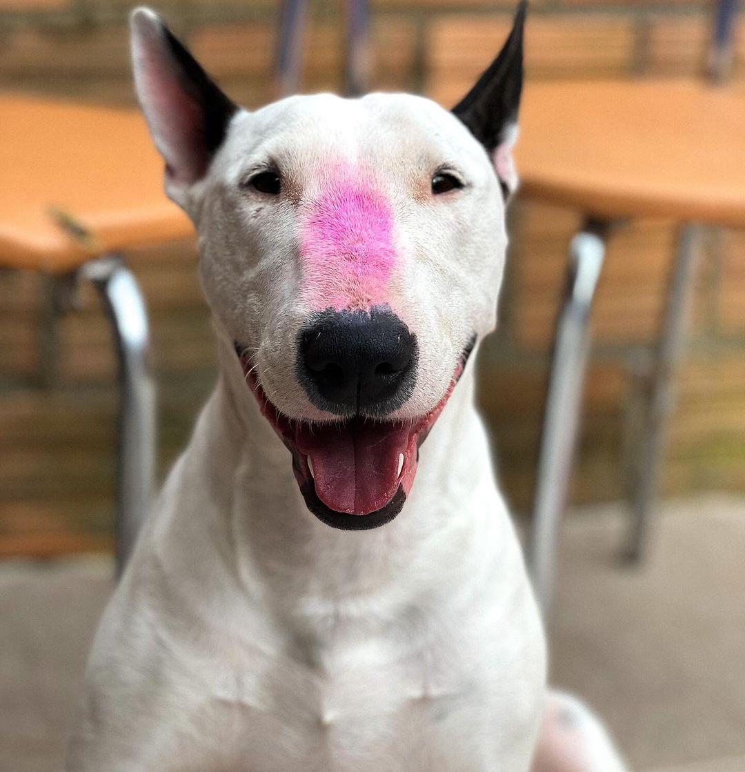 Bloqueador Solar Make Me Bluish 30 g