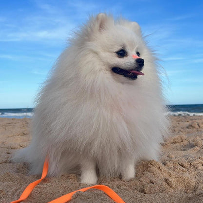 Bloqueador Solar Make Me Bluish 30 g