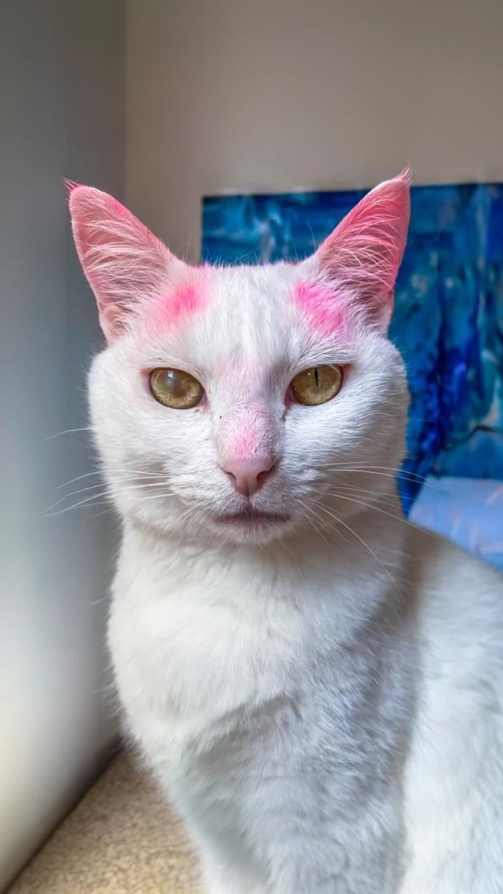 Bloqueador Solar Make Me Bluish 30 g