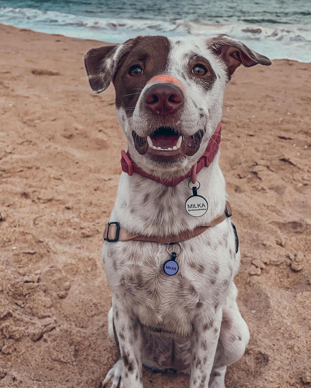 Bloqueador Solar Make Me Bluish 30 g