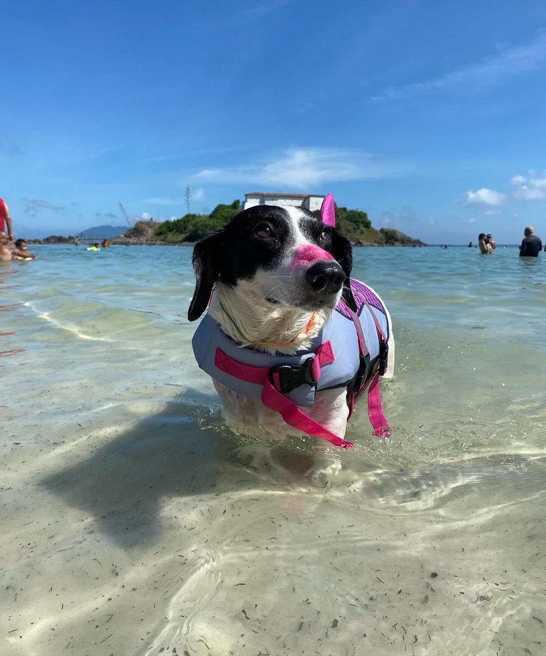 Bloqueador Solar Make Me Bluish 30 g